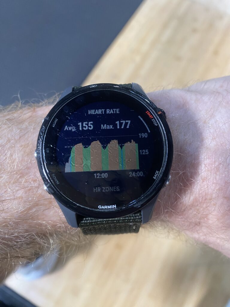 Garmin Forerunner 255: my review after wearing it for a few months ...